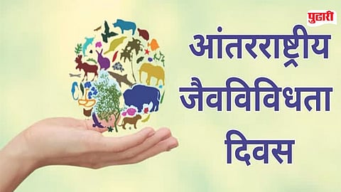 World Biodiversity Day