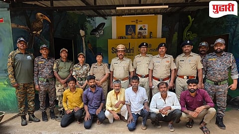 Sahyadri Tiger Reserve