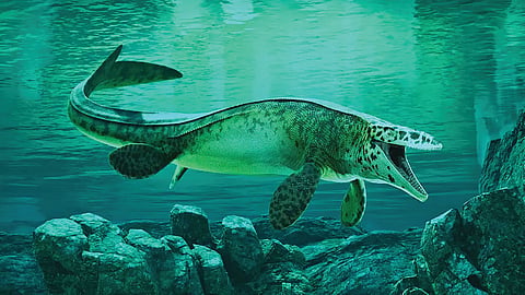 Sea T rex |