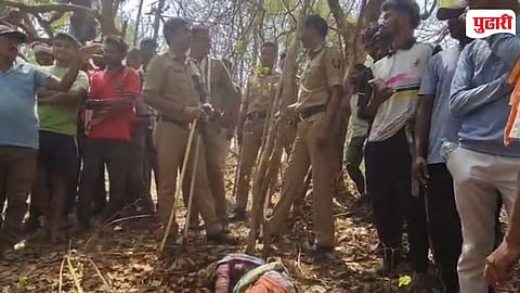 Chandrapur Wildlife Attack