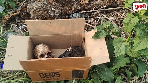 Majalgaon Sindphana River Woman Skeleton Found
