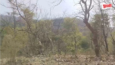 Torrent Power Project