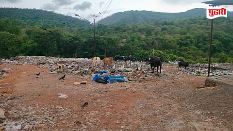 Tala Pollution News