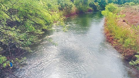 Tilari Dam : दोडामार्ग तालुक्यातील अनेक गावे तिलारी धरणाच्या पाण्यापासून वंचित