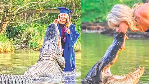 woman kissing crocodile |