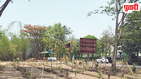 Khadakwasla Dam Forest Restoration