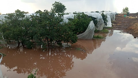 Atpadi heavy rain