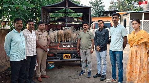 Dharashiv Crime