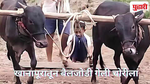 प्रातिनिधीक छायाचित्र