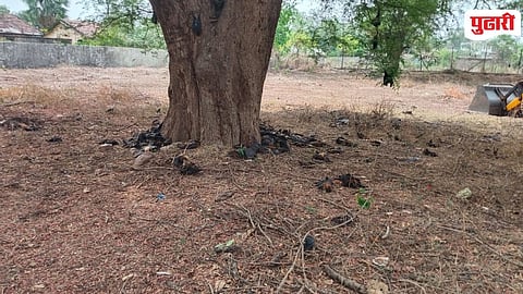 Gadchiroli Sironcha Heatwave