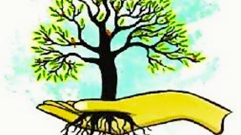 tree planting