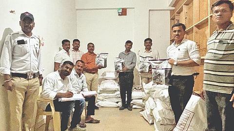 Bogus seeds racket: राज्यातील बोगस बियाणांचा मास्टरमाईंड बार्शीत
