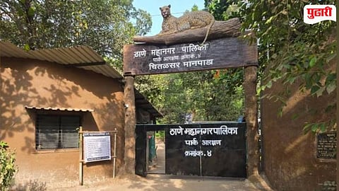 Thane TDR Case