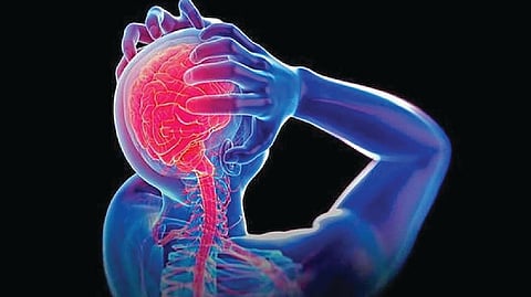 Alzheimer's Risk Obesity |
