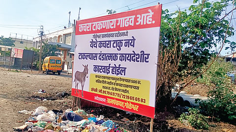 Satara News: “गाढव आहे” बॅनरची चर्चा; तरीही कचरा तसाच