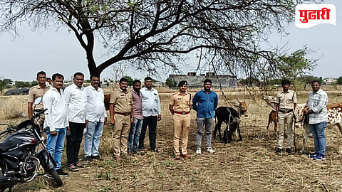 Kej Cow Rescue | केजमध्ये कत्तलीसाठी डांबून ठेवलेल्या आठ गोवंशीय प्राण्यांची सुटका; दोघांविरुद्ध गुन्हा