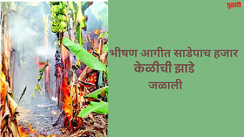 Dharur News : मोहखेड येथे केळीच्या बागेला भीषण आग