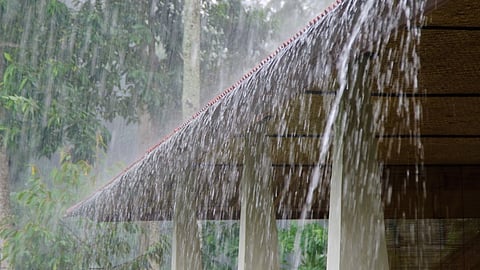 rain