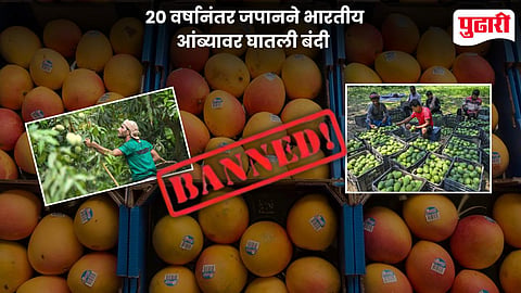 Japan Indian Mango Ban