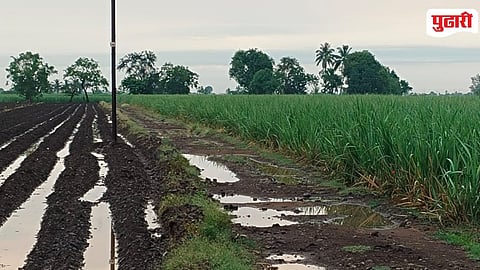 Shirol Taluka Encroached Panand Roads