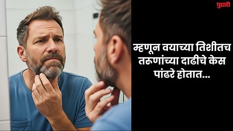 Gray beard hair