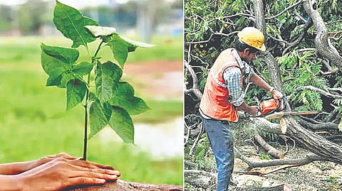 Sahyadri Devrai Project |