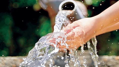 Water Budget |