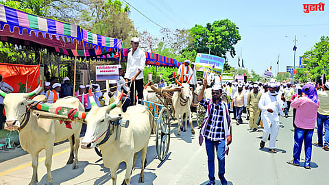 Jayakwadi Water