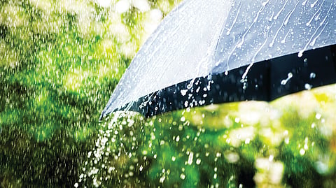 Monsoon Update |
