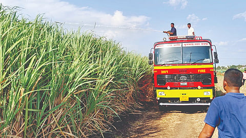 Farm Fire