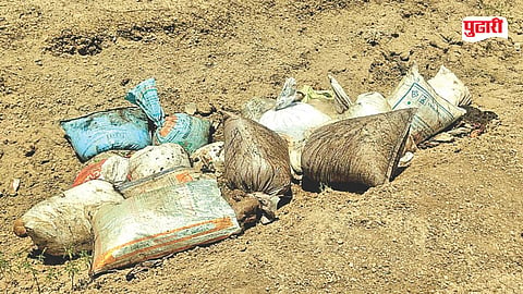 Majalgaon cow slaughter