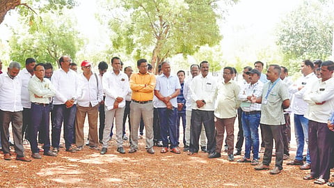 Sangli News
