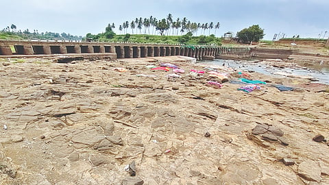 कोयना धरण ते हरिपूर हद्दीपर्यंत कृष्णा नदीतून पाणी उपसा बंदी