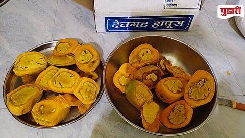 Chemical Laced Mangoes