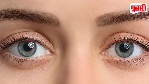 Eye