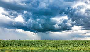 Monsoon Crisis |