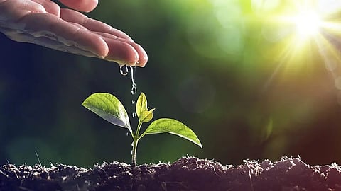 Agriculture Water Consumption |