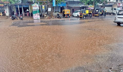 Sindhudurg Rain Updates