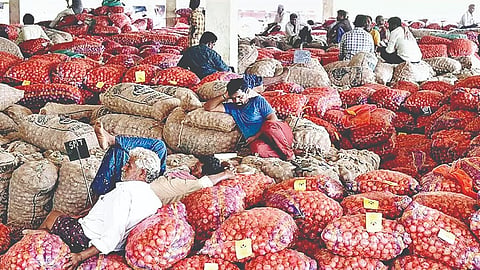 Onion market crisis