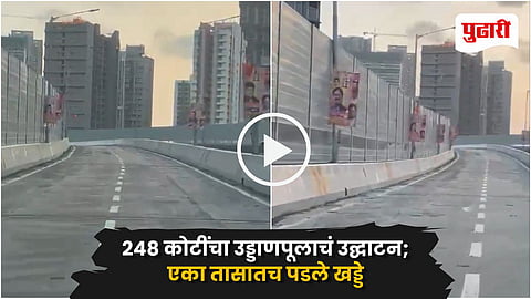 Mrinal Tai Gore Flyover Mumbai Video Viral