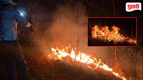 Nandurbar forest fire | जंगलात पुन्हा वणवा पेटला; शेकडो झाडे खाक; वनविभागाच्या निष्क्रियतेवर संताप