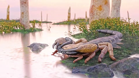 Giant Prehistoric Scorpion |