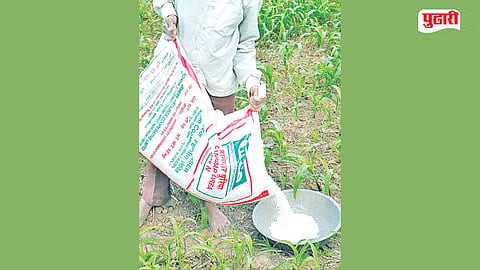 Jalna Agriculture News