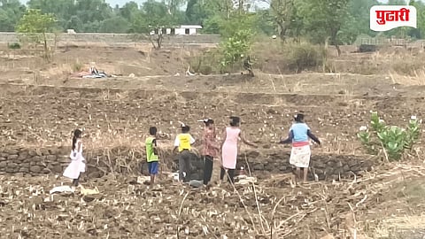 Uran Kharif Farming
