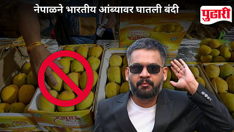 Nepal Ban Indian Mango