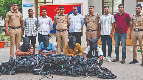 Sangli Crime News