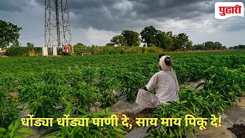 शेतकरी डोळे लावून बसला आभाळाकडे