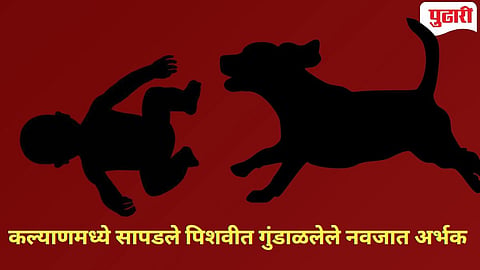 पिशवीतून टाकून दिली नवजात चिमुकली, भटक्या कुत्र्यांच्या तावडीतून वाचवण्यात यश