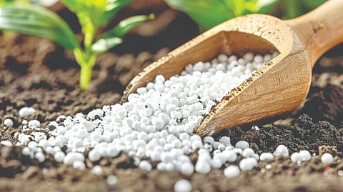 Urea Price Decline |