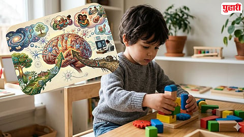 Child Brain Development